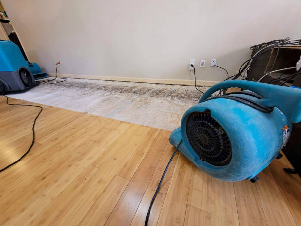 Professional Sewage Cleanup technician working in Fredericksburg, PA